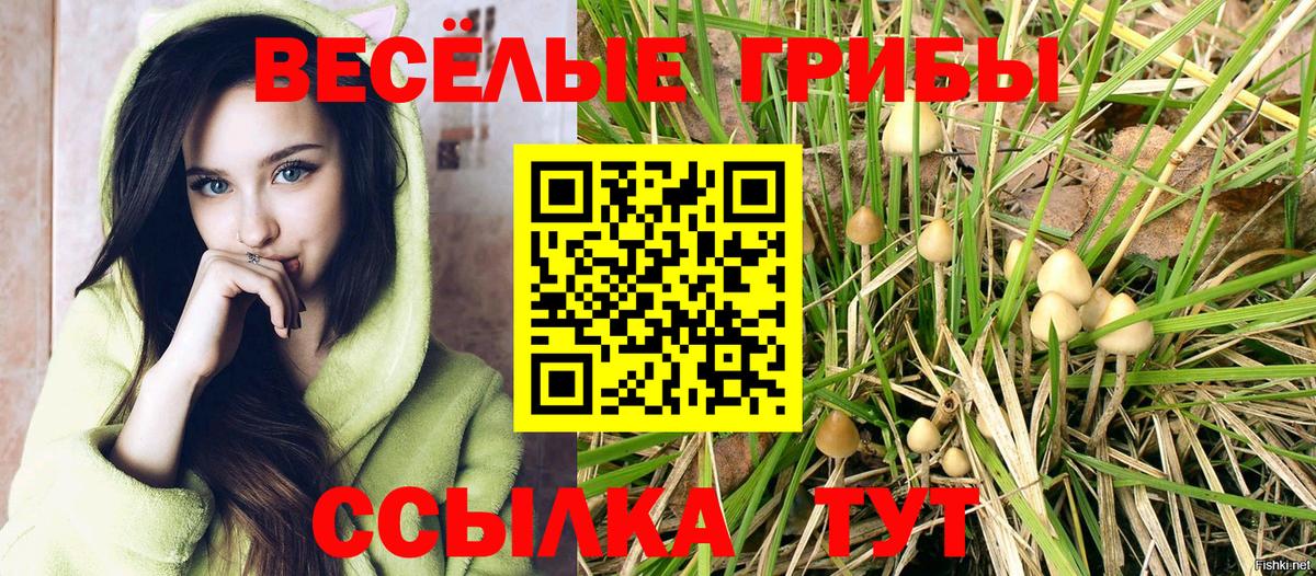 Арзамас  Псилоцибиновые грибы GOLDEN TEACHER  Вход с VPN 