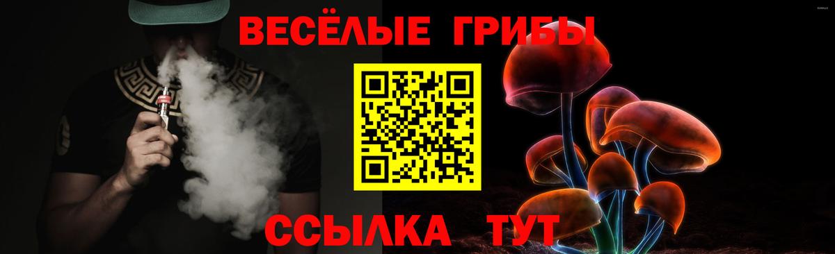 Галлюциногенные грибы Cubensis Арзамас